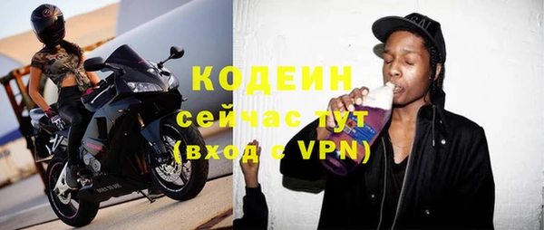 индика Арсеньев