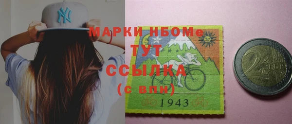 индика Арсеньев