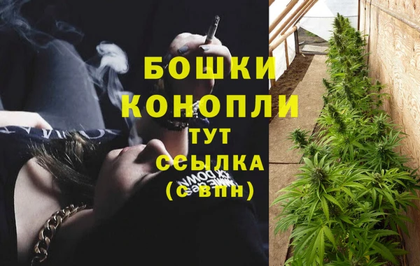 индика Арсеньев