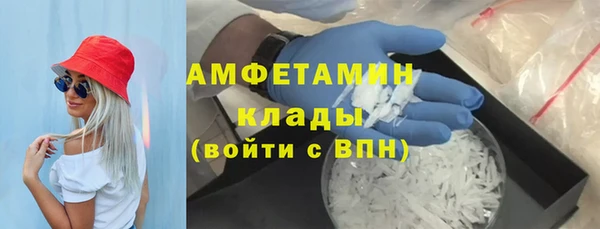 индика Арсеньев
