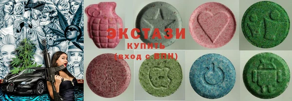 индика Арсеньев