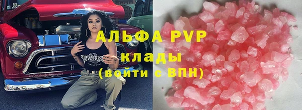 индика Арсеньев