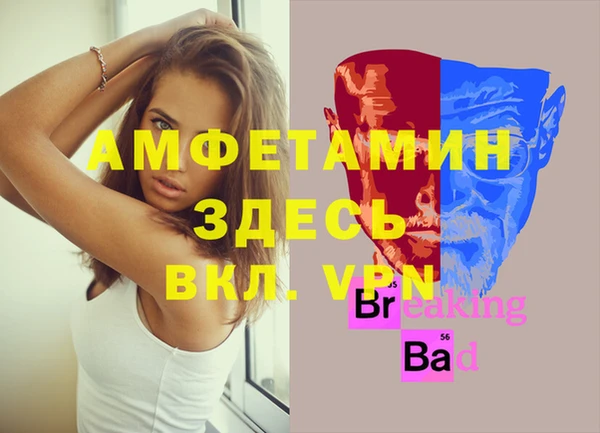 индика Арсеньев